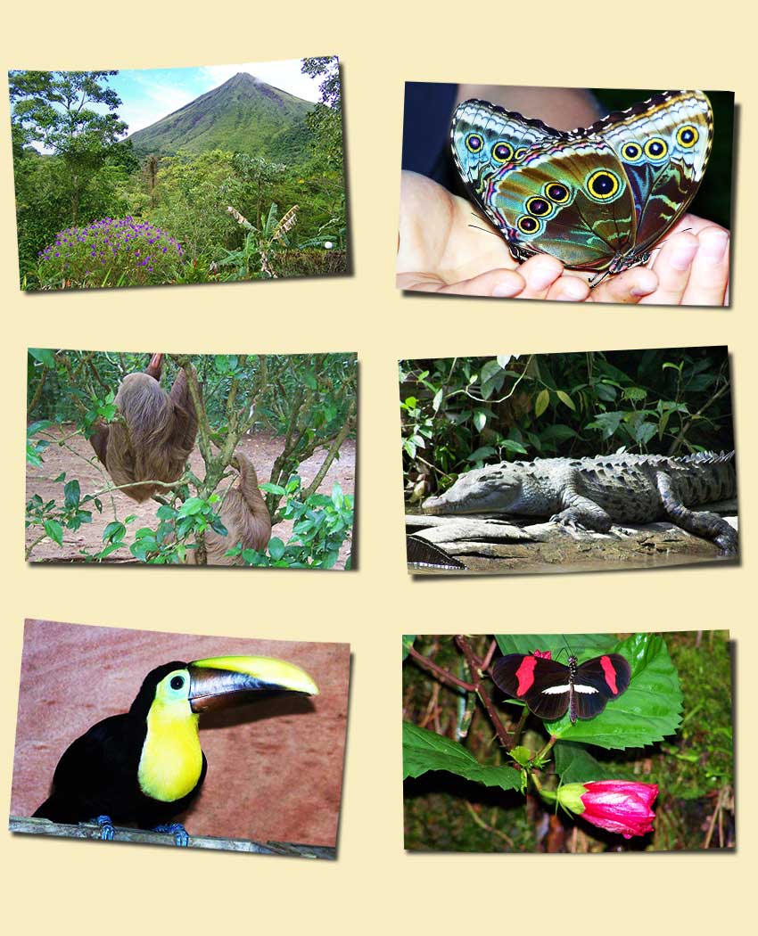 Kundenfotos von unserer Costa Rica Reise