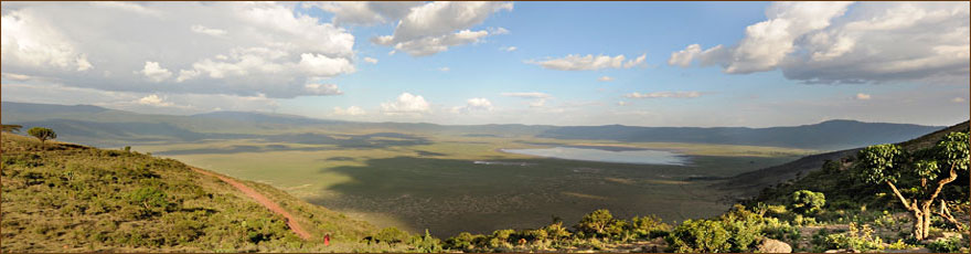Serengeti Reisen