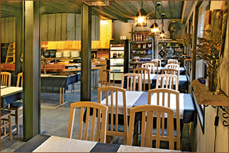 Braunbären beobachten...Fauna-Reisen