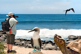 Tierparadies Galapagos