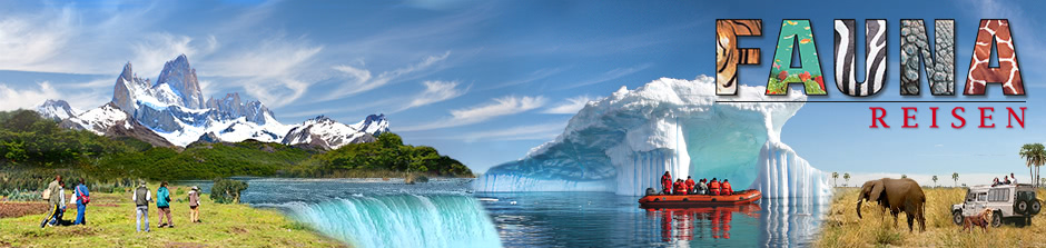 Background header
