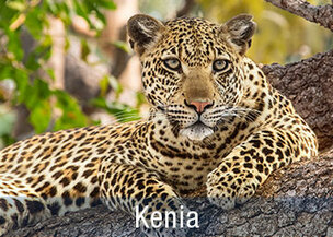 Familienreisen Safaris mit Kindern