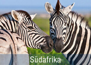 Rundreisen und Safaris in Südafrika, Nationalparks für einen malariafreien Familienurlaub