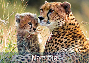 Camping Safaris im Etosha Nationalpark