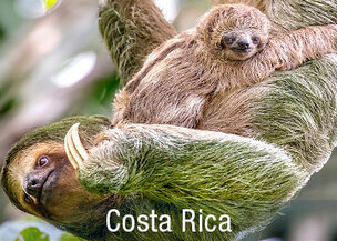 Tierbeobachtungen in Costa Rica 