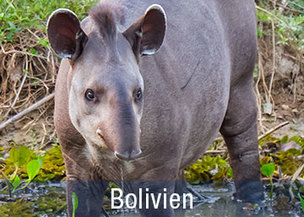 Bolivien Reisen