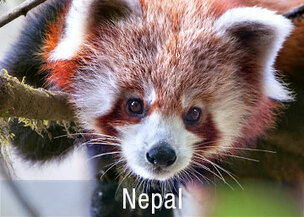 Nepal Reisen