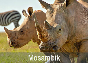 Tiere, Traditionen & Traumstrände