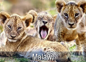 Sambia Malawi Rundreise
