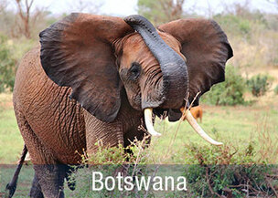 Flugsafaris und Camping Urlaub in Botswana 