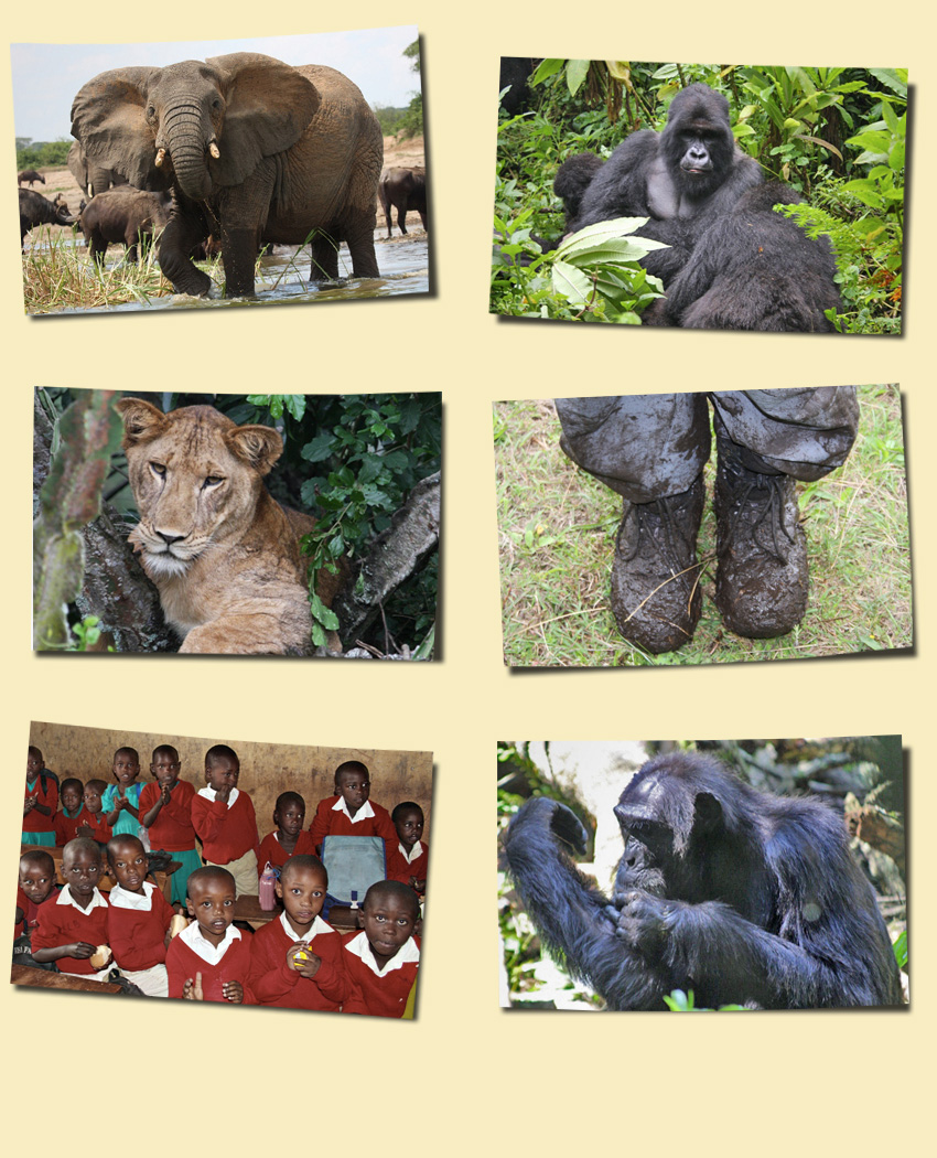 Uganda Reisefots unserer Kunden