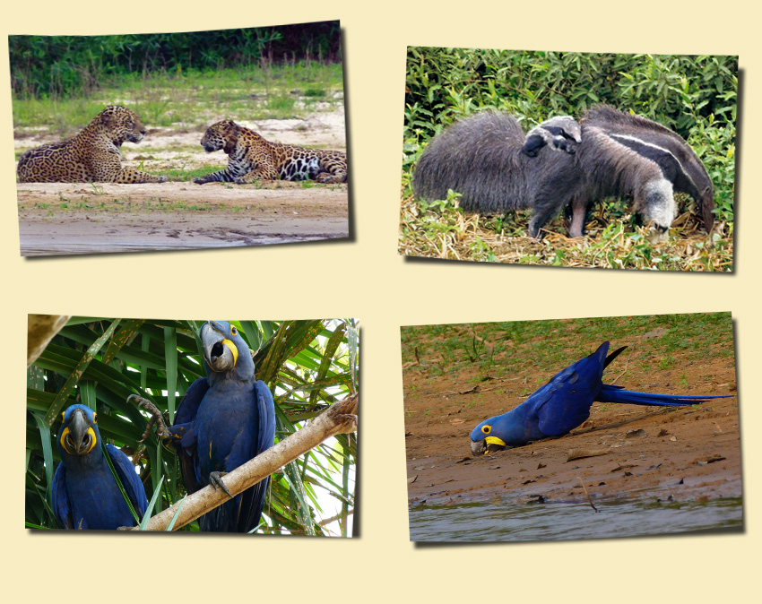 Kundenfotos Brasilien Reise