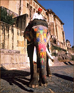 Amber Fort