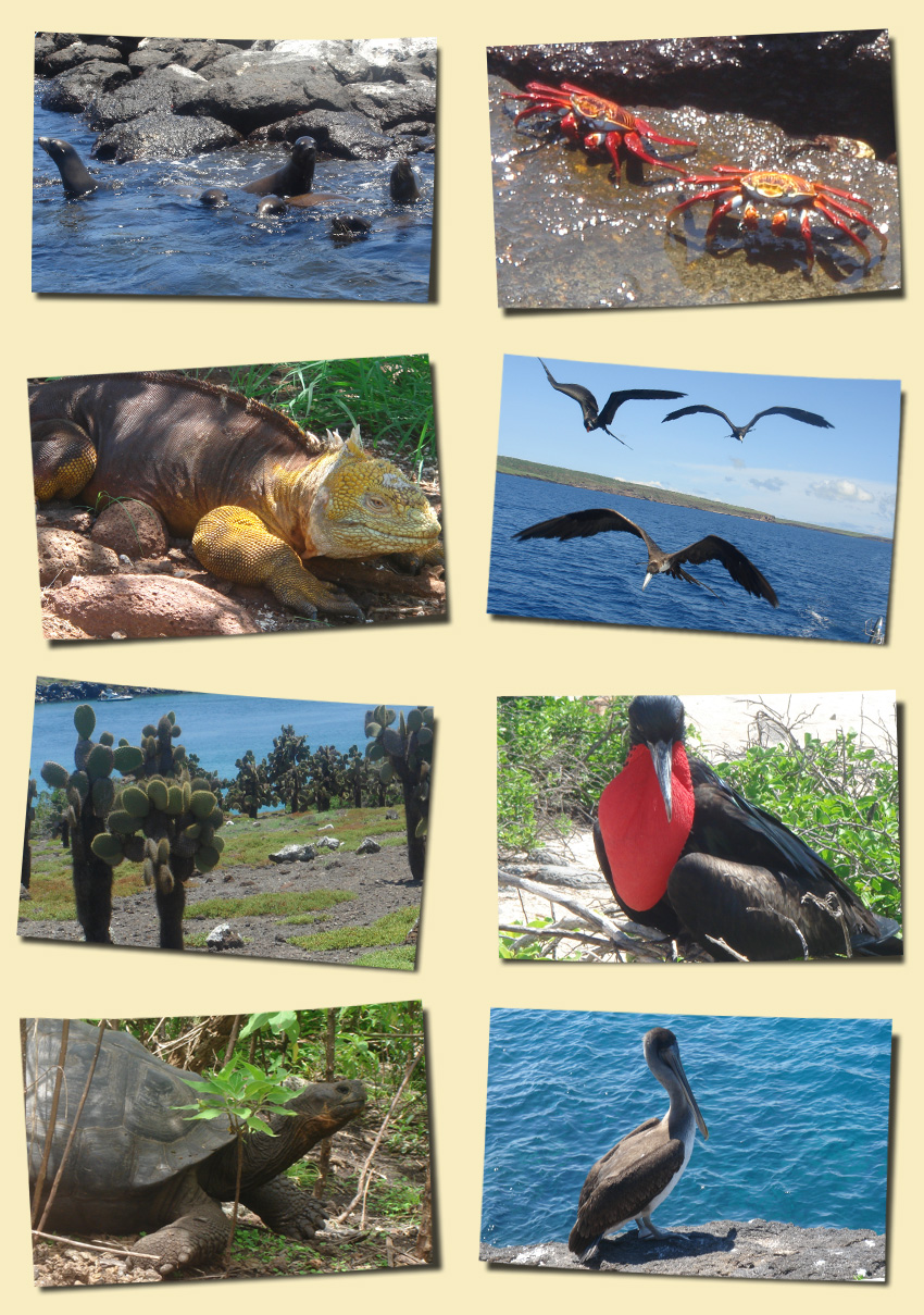 Kundenfotos Galapagos Reise