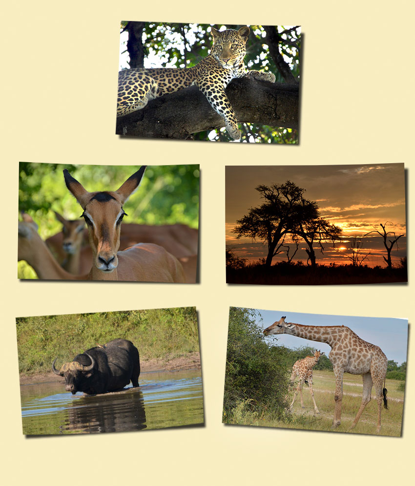 Botswana Reise Kundenfotos