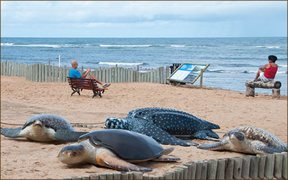 Das TAMAR Schildkrötenprojekt in Praia do Forte