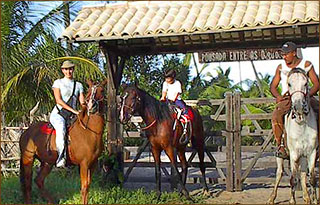 Walbeobachtungen & Reitausflüge in Brasilien