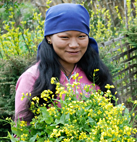 nepal erlebnisreisen