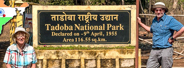 Tiger Safaris in Indien Tadoba Nationalpark