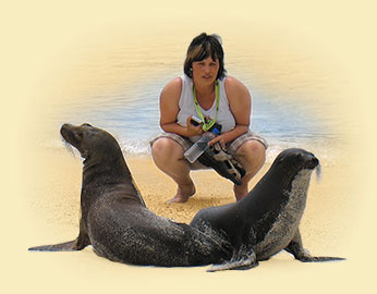 Tierwelt auf unseren Galapagosreisen