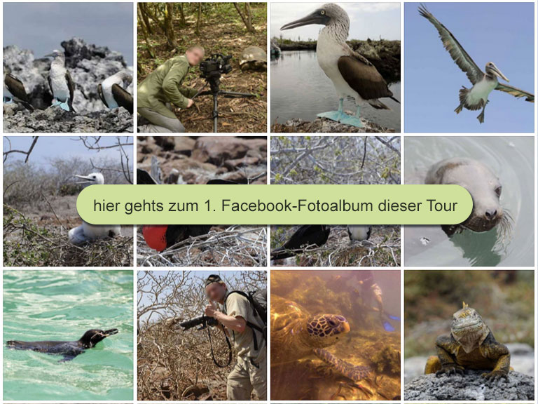 Fauna-Reisen auf Galapagos