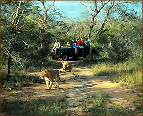 Familienurlaub und Tiere beobachten in Afrika