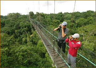 Hängebrücke im Amazonas Regenwald