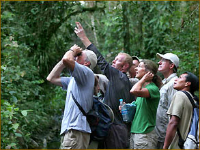 Wanderungen und Tiere beobachten im Amazonas Regenwald