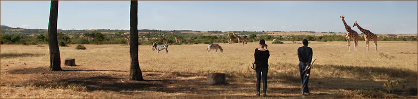 Safaris Kenia Reisen Rift Valley