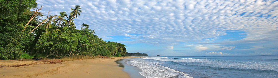 Karibikküste von Costa Rica in Puerto Vejo
