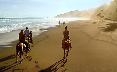 ein Reitausflug mit Pferden am Strand der Osa-Halbinsel