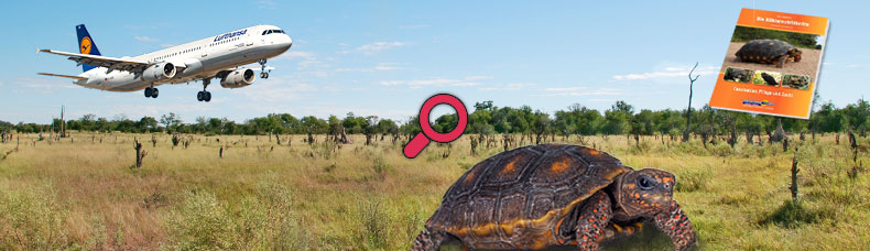 das Feuchtgebiet Pantanal ist Lebensraum der Köhlerschildkröten