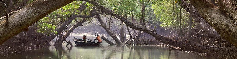 Die Sundarbans sind ein ausgedehntes Geflecht aus Flüssen, Inseln und Mangrovenwäldern