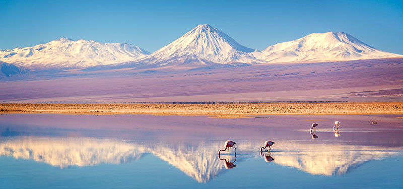 Der ca. 3000 Quadratkilometer groβe Salar de Atacama auf unserer Reise in die Atacamawüste