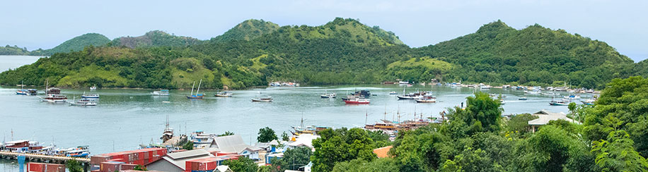 Die Hafenbucht von Labuan Bajo mit vielen Booten, Pininsis für Bootstouren zu den Sunda-Inseln
