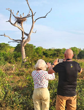 Jabirus sind das Wahrzeichen dieser Region