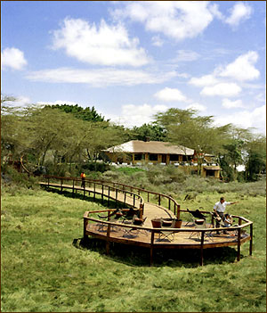 Urlaub auf der Hatari-Lodge