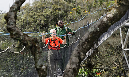 Canopywalk in Nyungwe