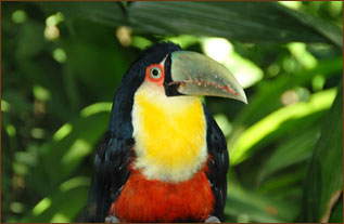 Ausflüge Iguazu Wasserfälle