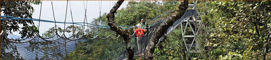 Reisen in den Nyungwe-Nationalpark