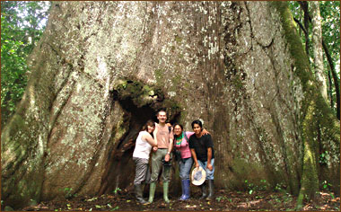 Wanderungen in Tambopata Regenwald 