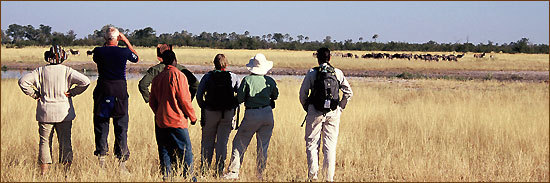 Walking Safari