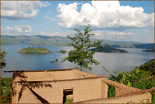 gorillas ruanda uganda reise