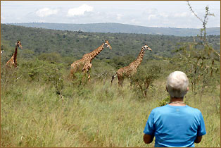 Tiere beobachten in Uganda