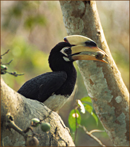 Vögel beobachten auf Reisen Gavi Nationalpark