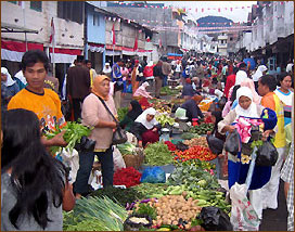 Sepilok Center Orang Utans