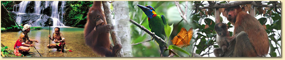 Im Bako Nationalpark auf unserer Borneo Rundreise