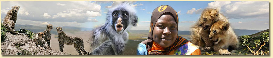 Tiere auf unserer Tansania Rundreise