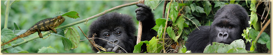 Wanderung auf unserer Uganda Reisen