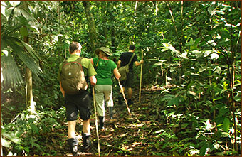 Naturrundreisen in Costa Rica